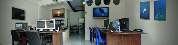 ddp underwater video training academy